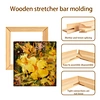 art stretcher bar canvas frame